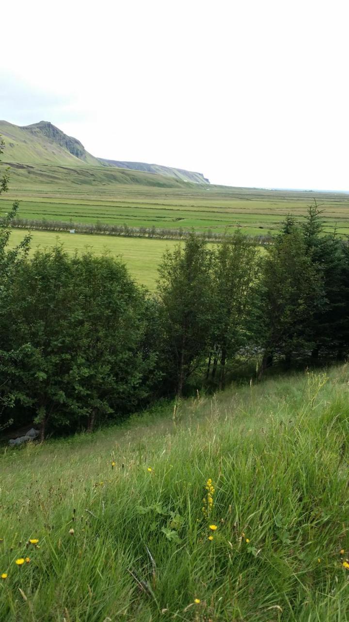Giljur Guesthouse Vik i Myrdal Bagian luar foto